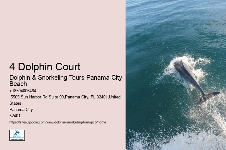 Are There Whales In Panama City Beach