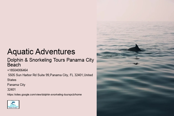 Family-friendly Activities
