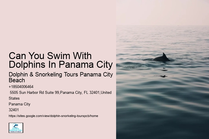 Dolphins