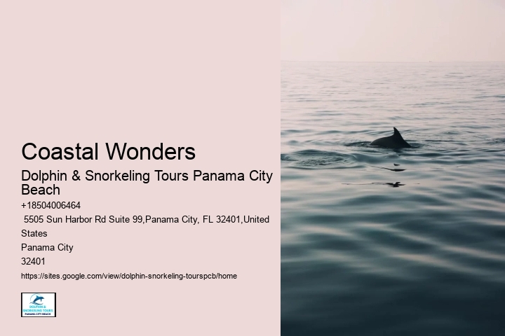 The 5 Best Panama City Scuba Diving & Snorkeling