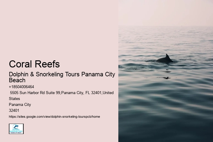 Discover Underwater Art