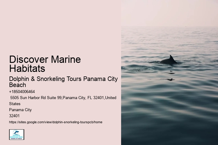 Dolphin Research Center