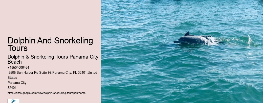 Marine Life Encounters