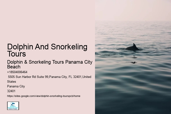 Dolphin & Snorkeling Tours In Panama City Beach
