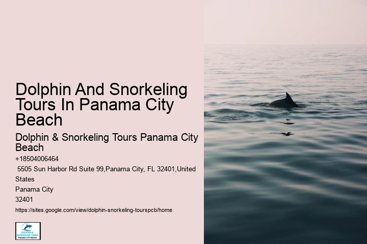 Does Panama City Beach Have Good Snorkeling