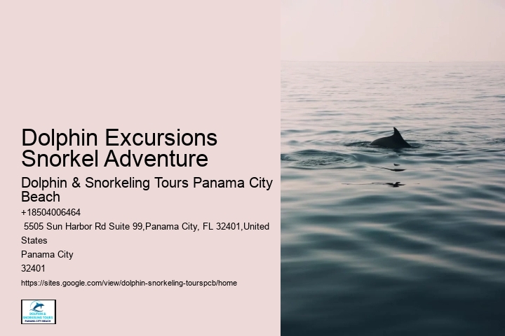 Swimming With Captive Dolphins