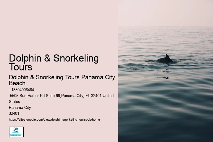 Where Is The Best Place To Go Shelling In Panama City Beach