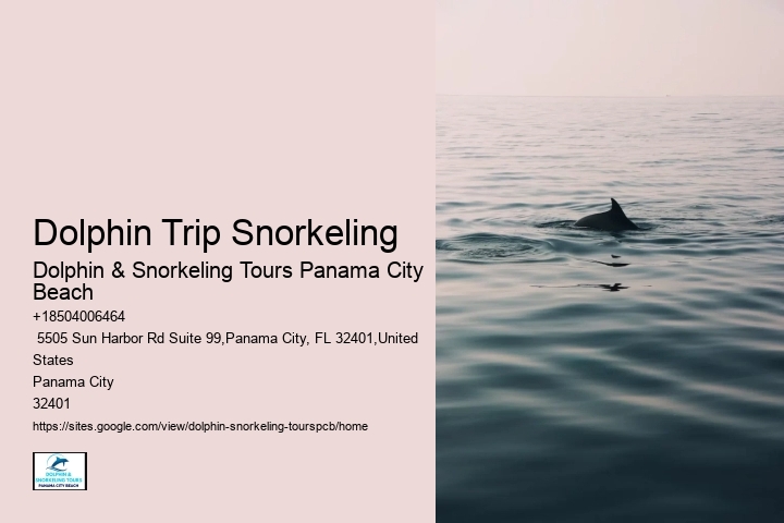 Top 10 Best Snorkeling Beaches In The World