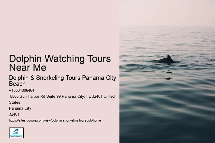 Is It Safe To Swim With Dolphins