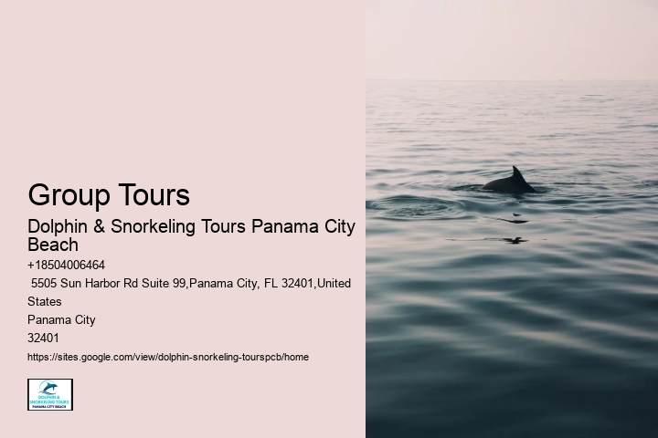 Salty Fins Dolphin And Snorkeling Tours Panama City Beach Reviews