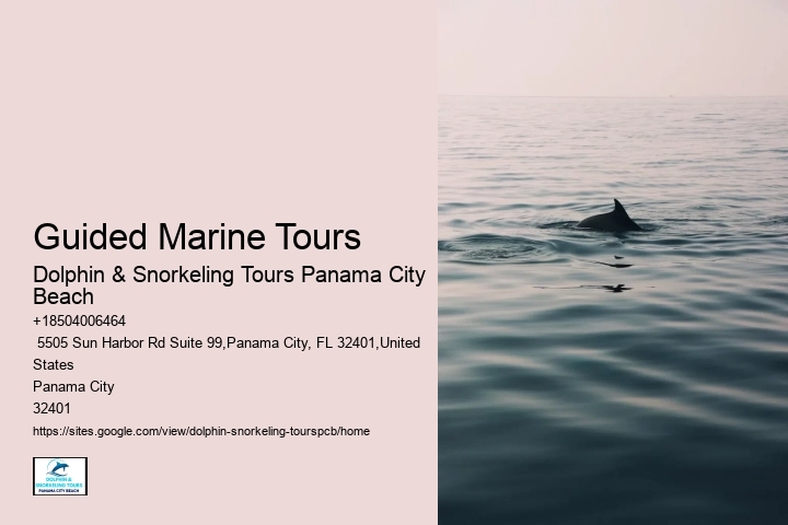 Snorkeling Tours Panama City