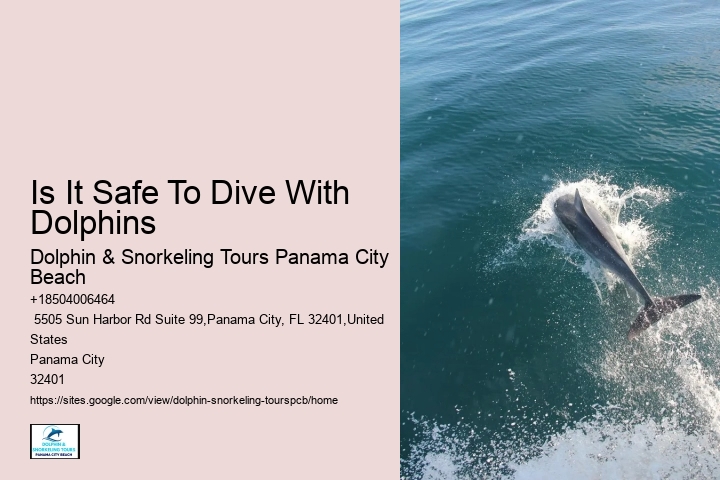 Best Dolphin & Snorkeling Tours In Panama City Beach
