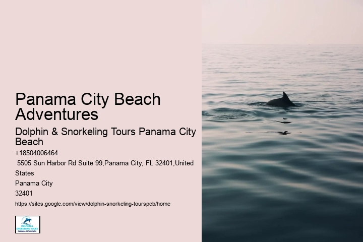 Review Of Shell Island Panama City Beach FL