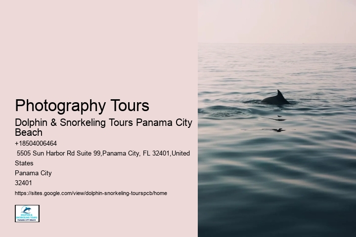Dolphin & Snorkeling Tours Excursions