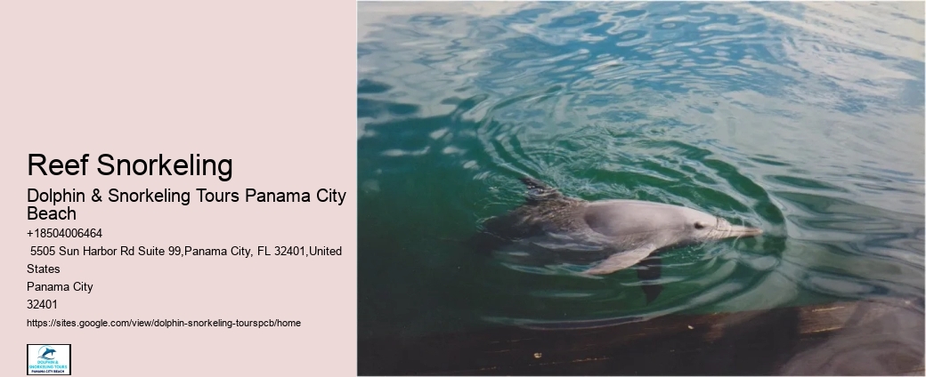 Panama City