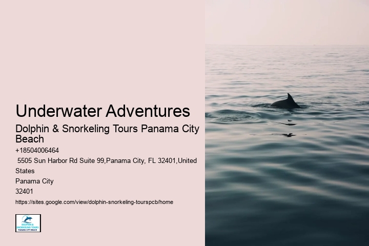 Swim Alongside Marine Life