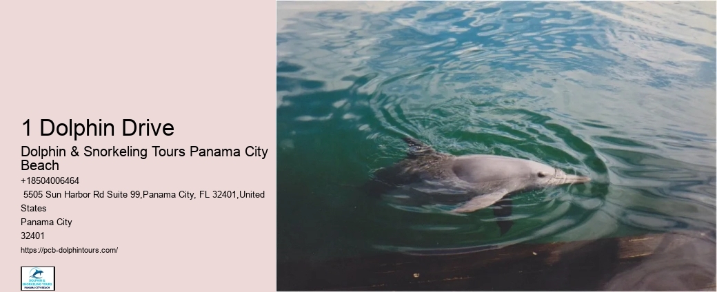Panama City Beach Vacations