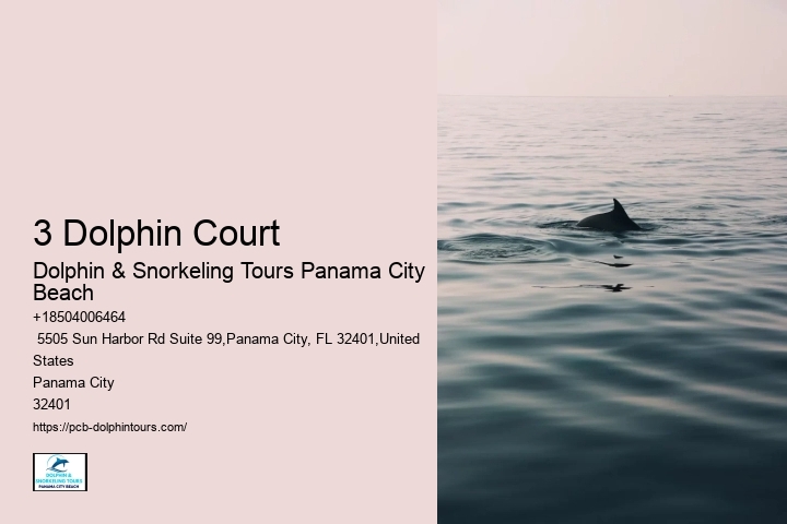 How To Swim With Dolphins