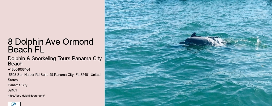Dolphin & Snorkeling Tours In Panama City Beach Reviews