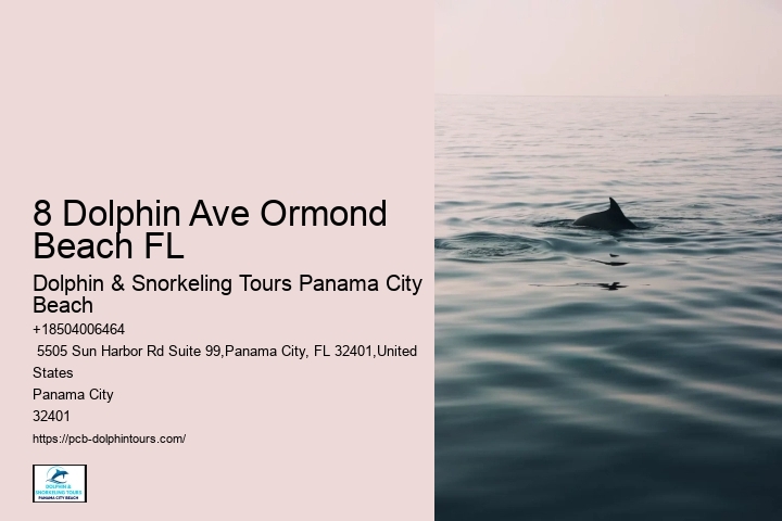 Where's The Best Place For Snorkeling In Panama City Beach