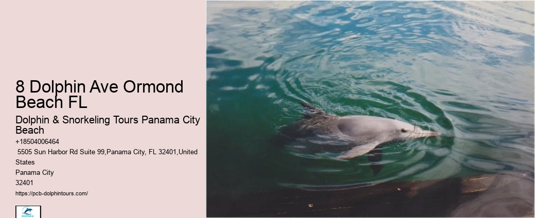 Discover Marine Habitats