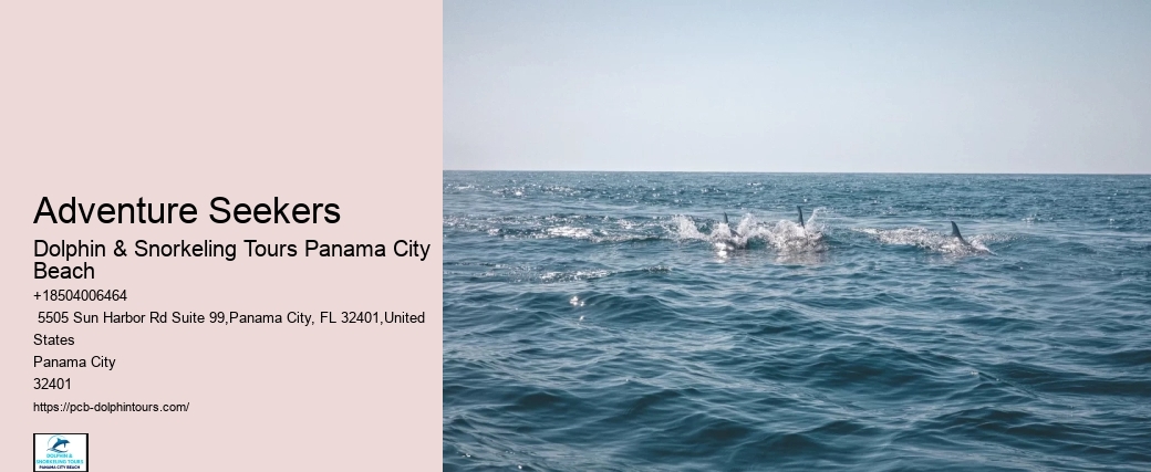 Dolphin & Snorkeling Tours Panama City