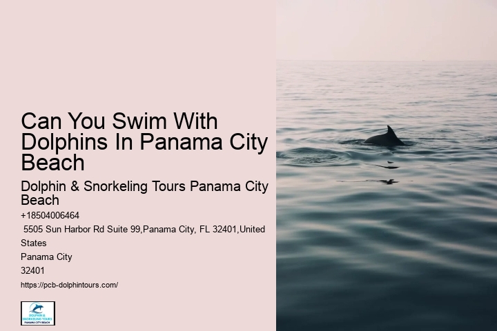 City Beach Dolphin