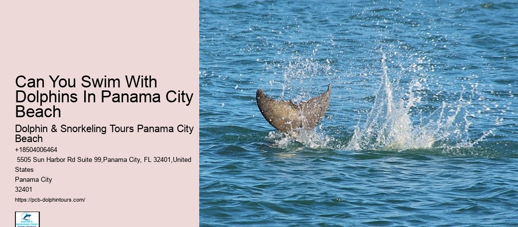 Manatees Becoming Frequent Sight Around