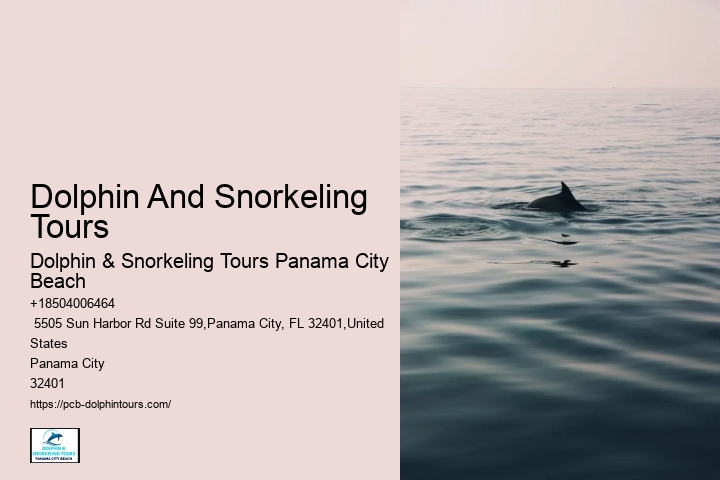 Dolphin Tours Panama City Beach