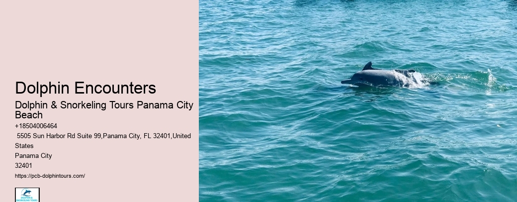 Adventurous Activities In Panama City Beach