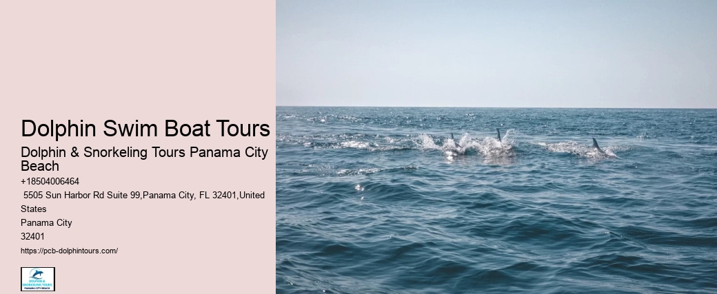Dolphin & Snorkeling Tours In Panama City Beach Prices