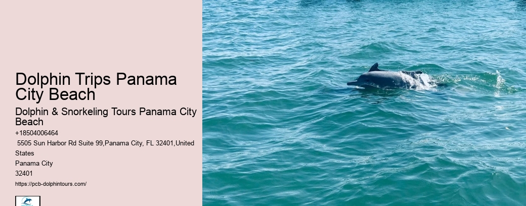 Scuba Diving Opportunities