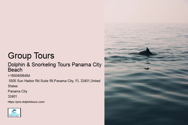 Dolphin And Snorkel Tours