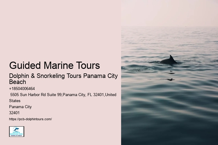Oceanic Wildlife