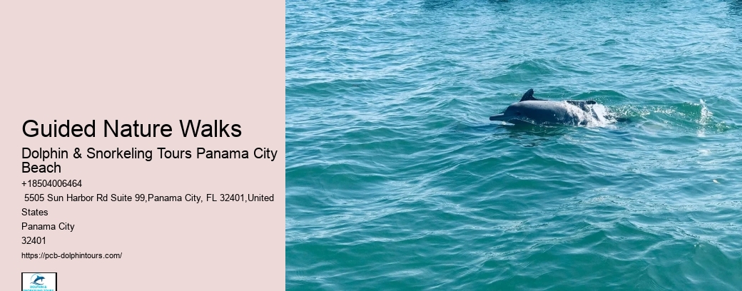 Will Dolphins Swim With Humans
