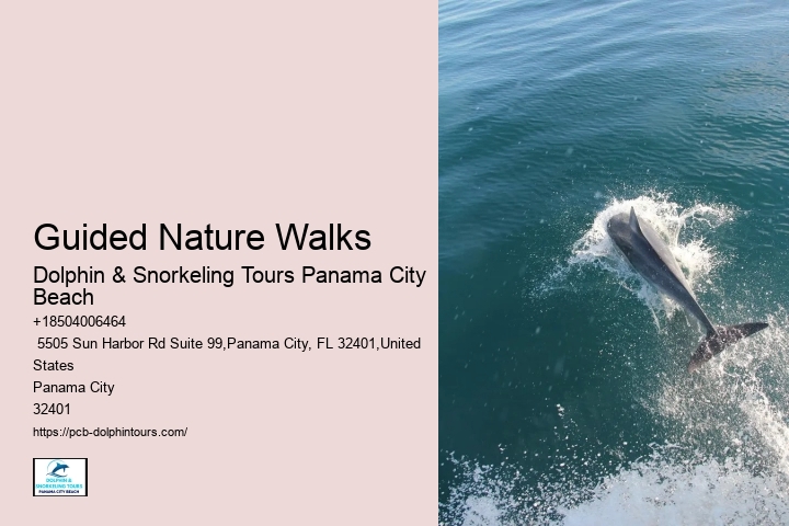 Guided Nature Walks