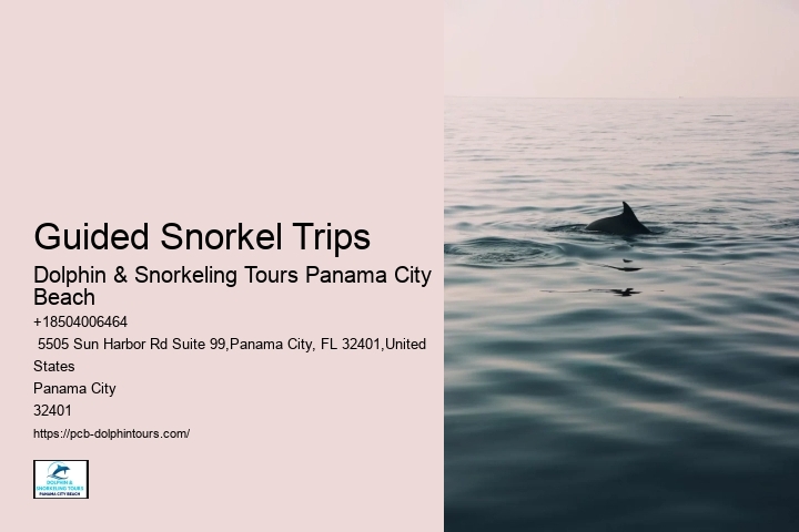 Guided Snorkel Trips