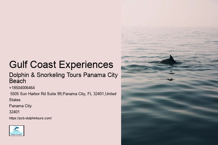 Leisure Cruises