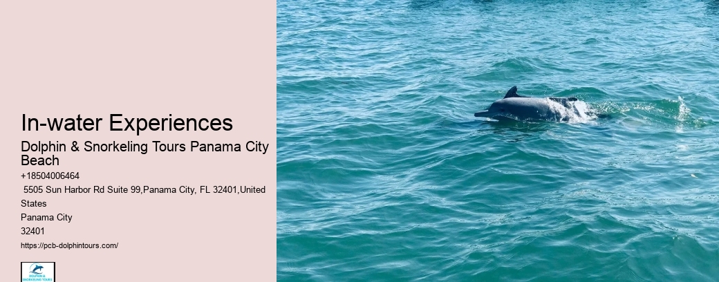 Where Is The Best Place To Snorkel In Panama City Beach