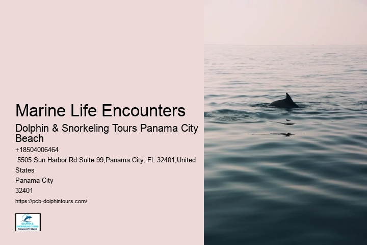 Is It Safe To Swim At Panama City Beach