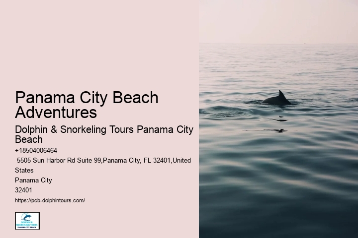 Panama City Beach Adventures