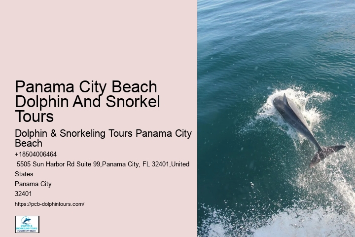 Panama City Beach Dolphin And Snorkel Tours