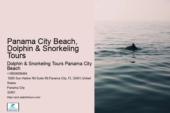 Gear, Tours & Shell Island