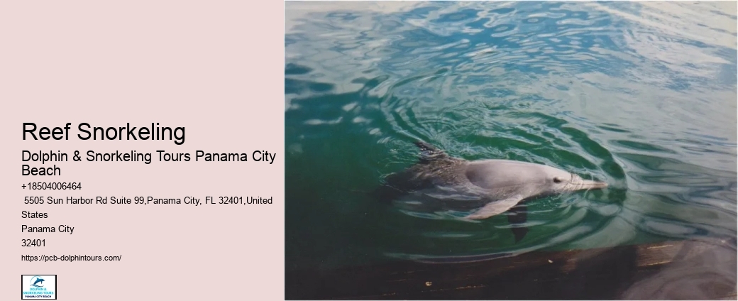 Underwater Photography