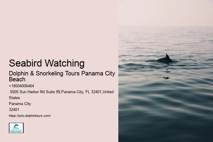 Marine Life Encounters