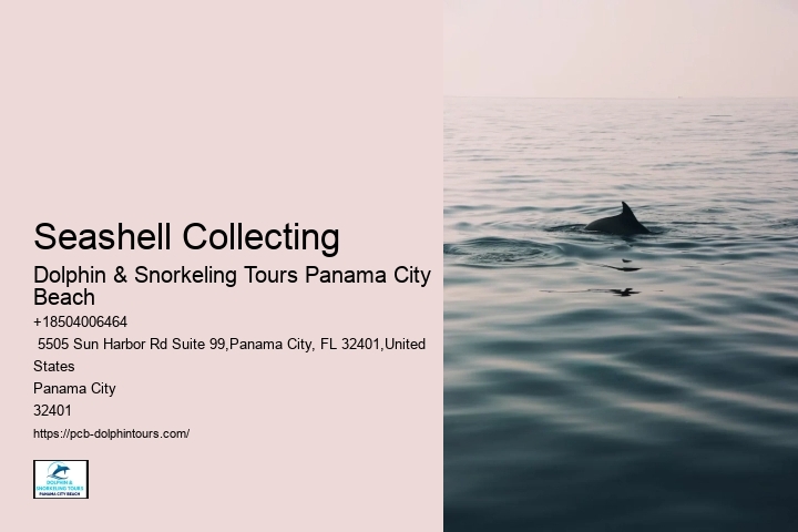 What Are The Risks Of Hugging Dolphins In The Wild