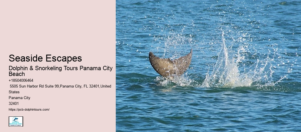 What Beach Has The Bluest Water In Panama City