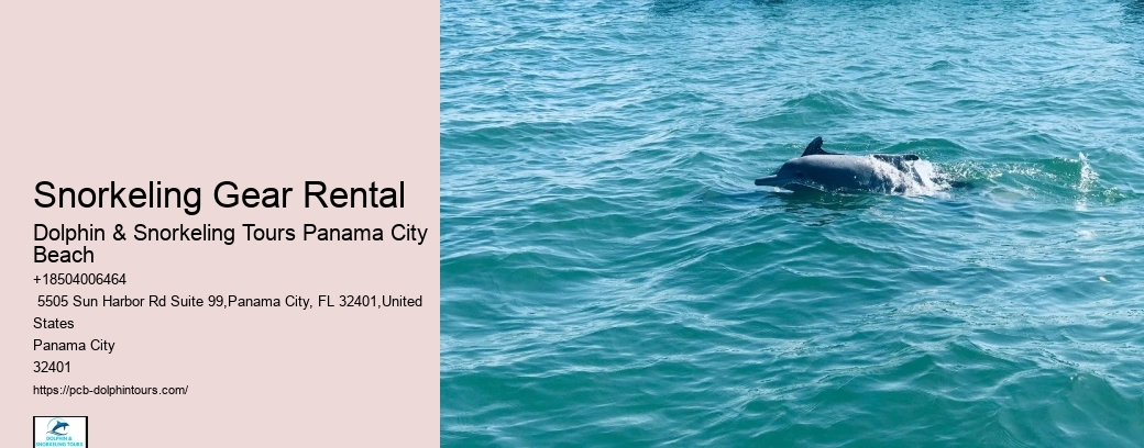 Snorkeling Tours Panama City