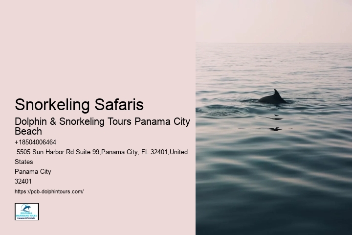 Snorkeling Safaris