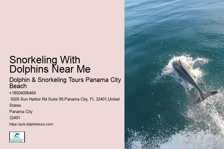Snorkeling With Dolphins Near Me